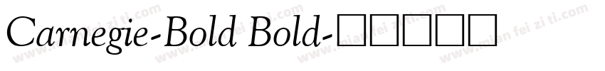 Carnegie-Bold Bold字体转换